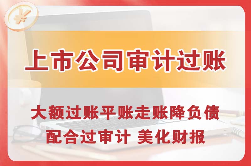 巴南上市公司审计过账